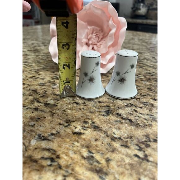 Creative Salt & Pepper Shaker Platinum Star Burst Fine China Japan 1014 Atomic - Picture 8 of 9